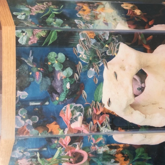 Orange green magnetic fish tank/reptile accessory - Picture 10 of 11